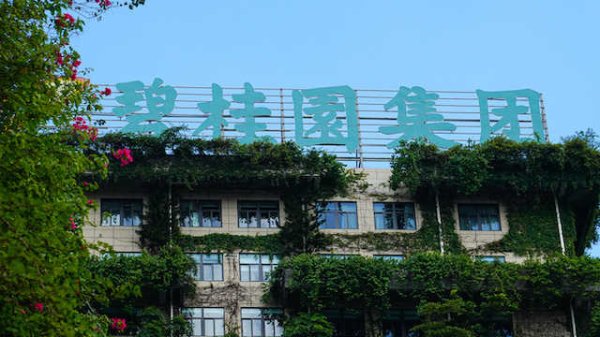 海通富配资 多家光伏企业中报预亏，行业下一个春天在哪里？