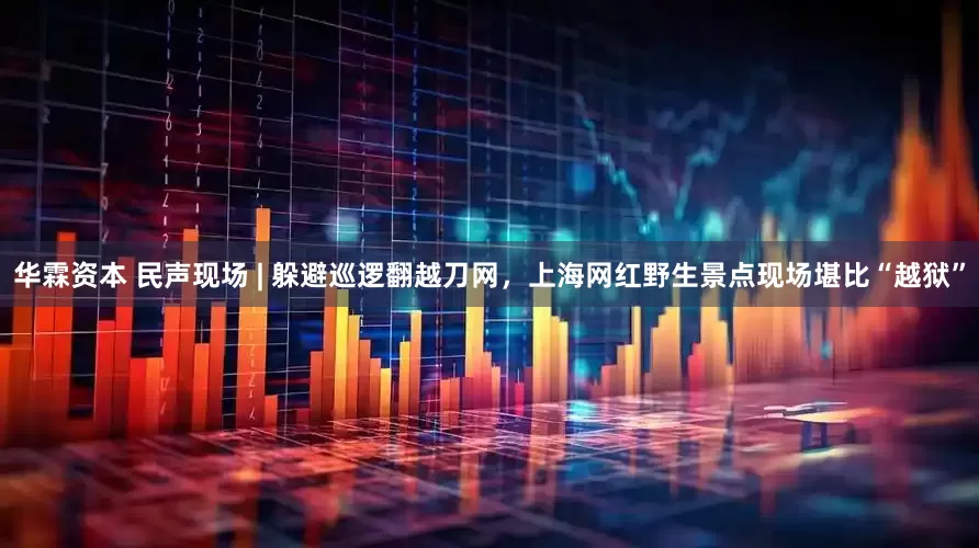 华霖资本 民声现场 | 躲避巡逻翻越刀网，上海网红野生景点现场堪比“越狱”