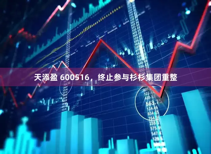 天添盈 600516，终止参与杉杉集团重整