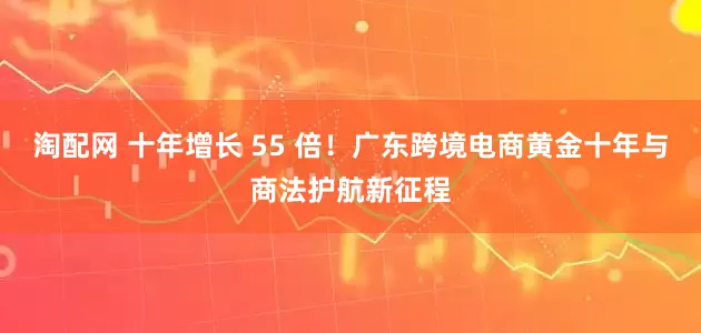 淘配网 十年增长 55 倍！广东跨境电商黄金十年与商法护航新征程